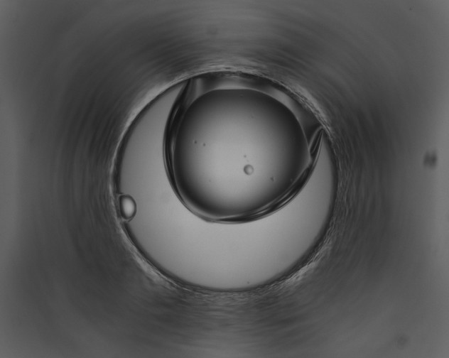 X0000089920893200707131408