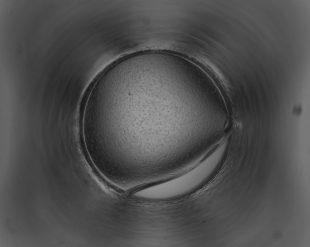 X0000089920894200707131408