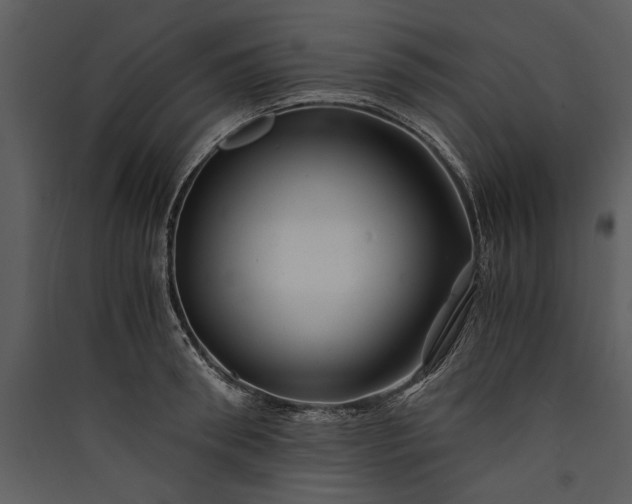 X0000089920898200707131408