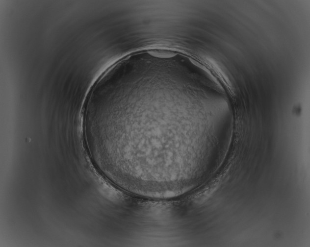 X0000089920900200707131408