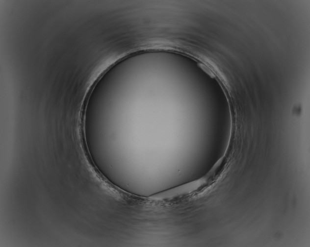 X0000089920901200707131408