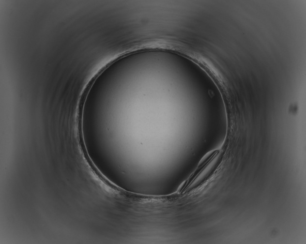 X0000089920902200707131408