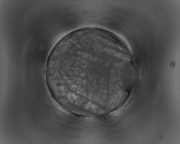 X0000089920903200707131408