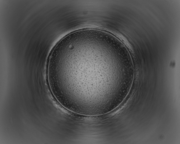 X0000089920904200707131408