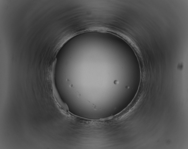 X0000089920905200707131408