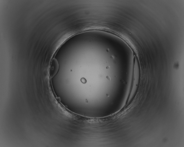 X0000089920906200707131408