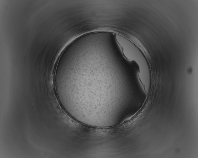 X0000089920908200707131408