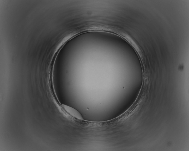X0000089920909200707131408