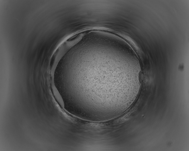 X0000089920910200707131408