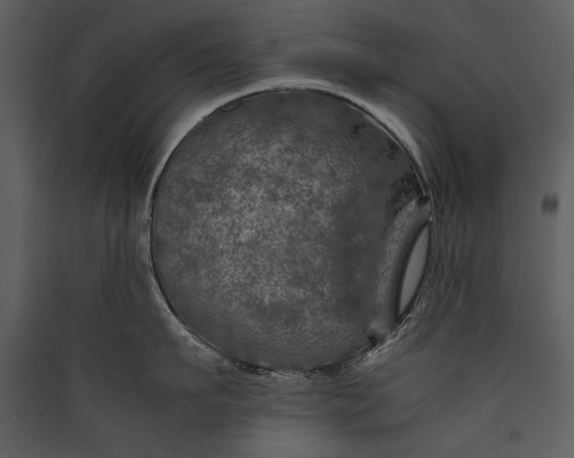 X0000089920911200707131408