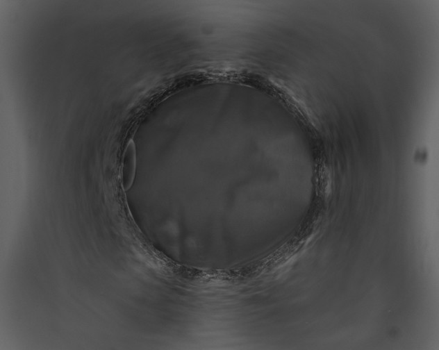 X0000089920913200707131407