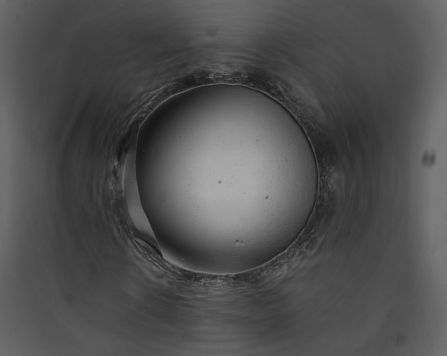 X0000089920914200707131407