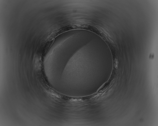 X0000089920915200707131407
