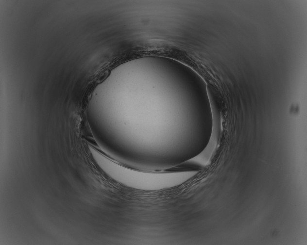 X0000089920916200707131407