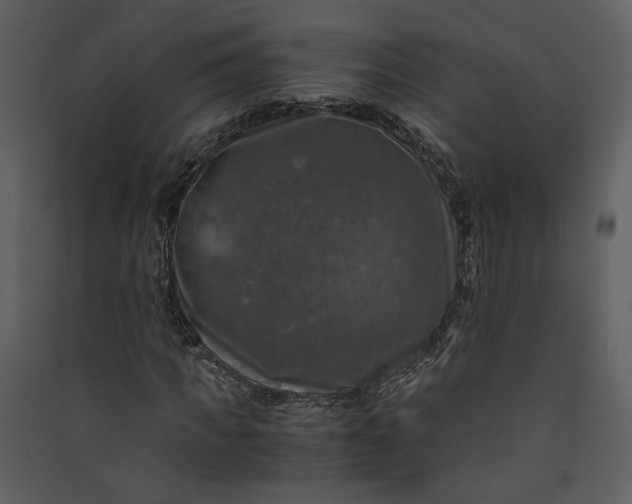 X0000089920917200707131407