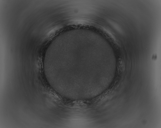 X0000089920918200707131407