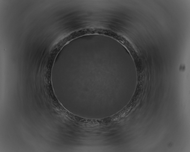 X0000089920919200707131407