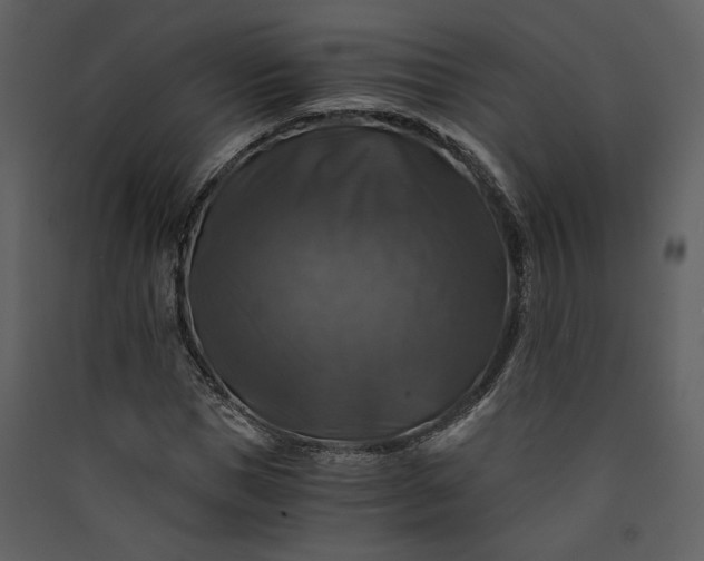 X0000089920921200707131407