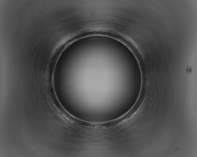 X0000089920922200707131407