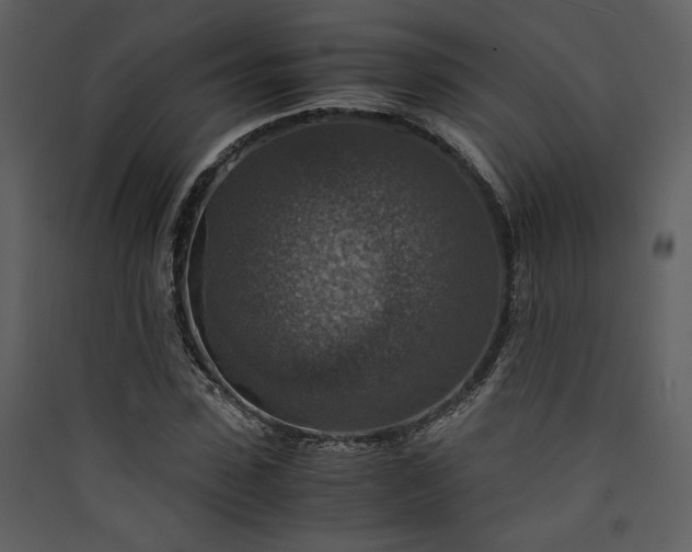 X0000089920923200707131407