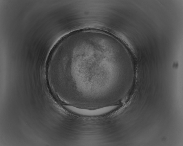 X0000089920924200707131407