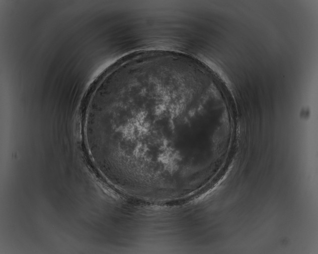 X0000089920925200707131407