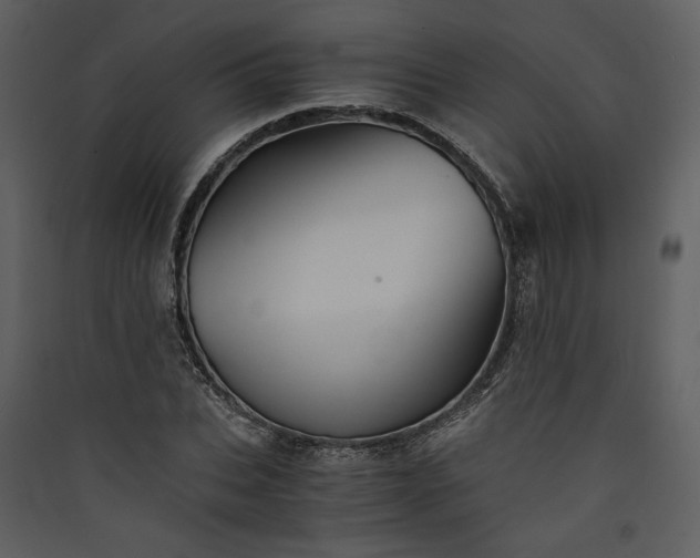X0000089920927200707131407