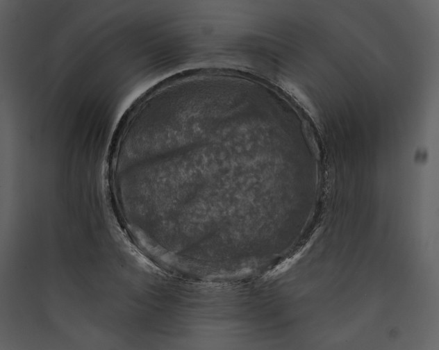 X0000089920928200707131407