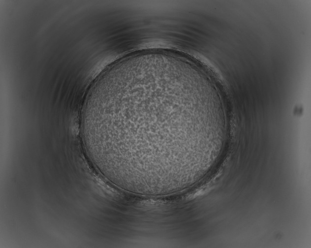 X0000089920929200707131407