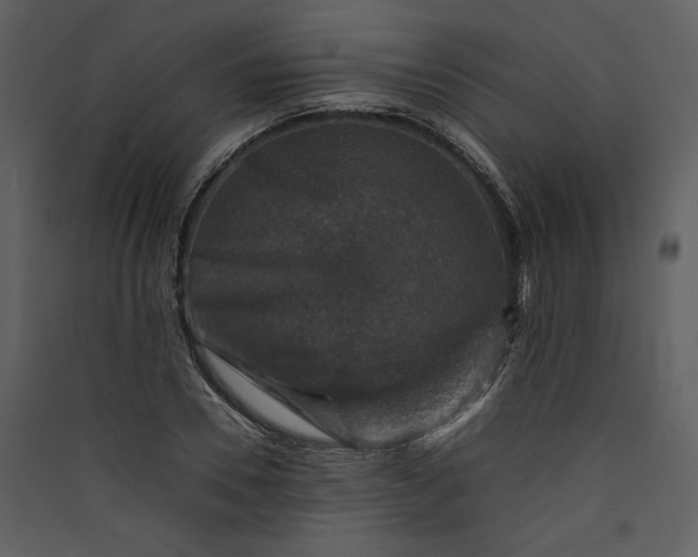 X0000089920930200707131407