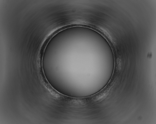 X0000089920931200707131407