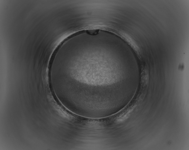 X0000089920932200707131407