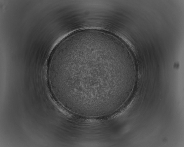 X0000089920933200707131407