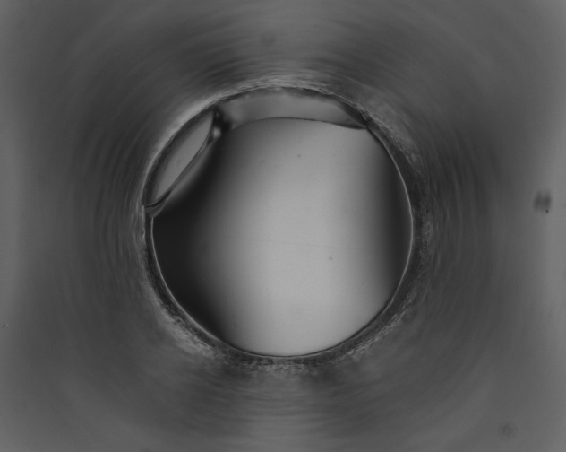 X0000089920934200707131407