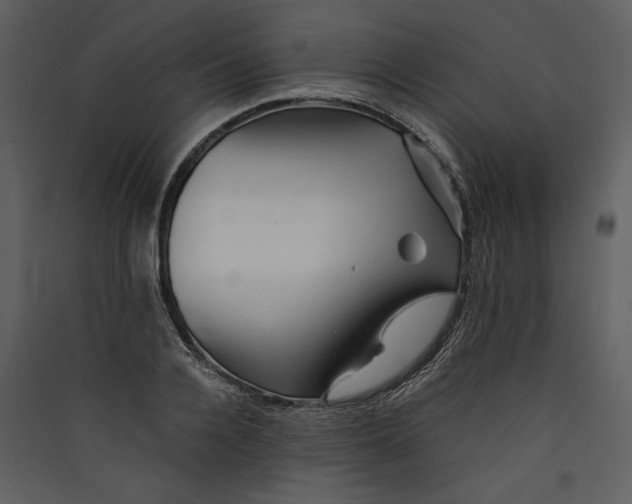 X0000089920936200707131407