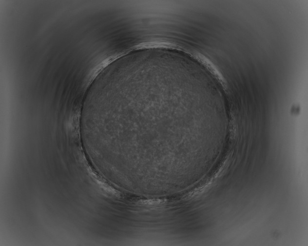 X0000089920937200707131407