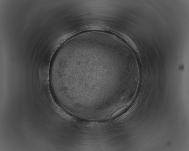 X0000089920938200707131407