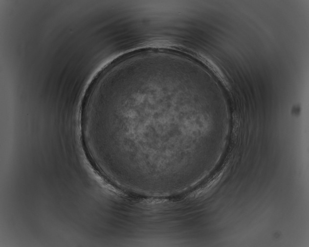 X0000089920939200707131407