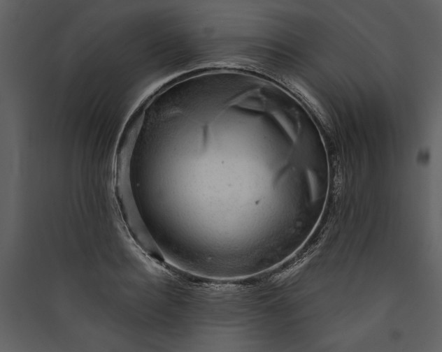 X0000089920940200707131407