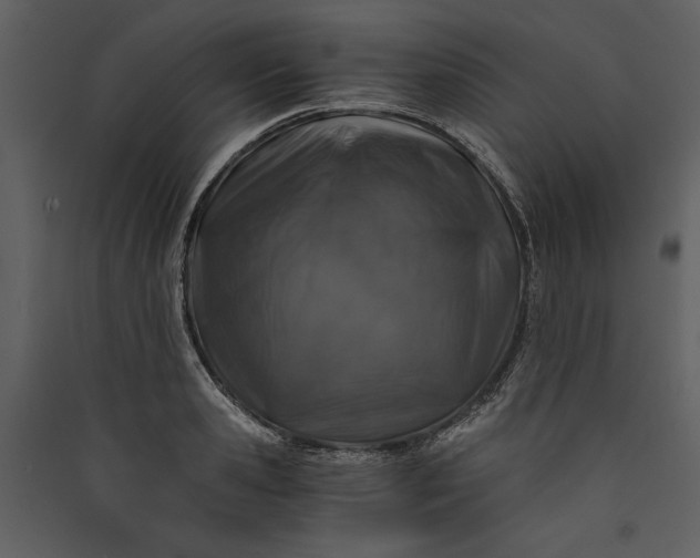 X0000089920941200707131407