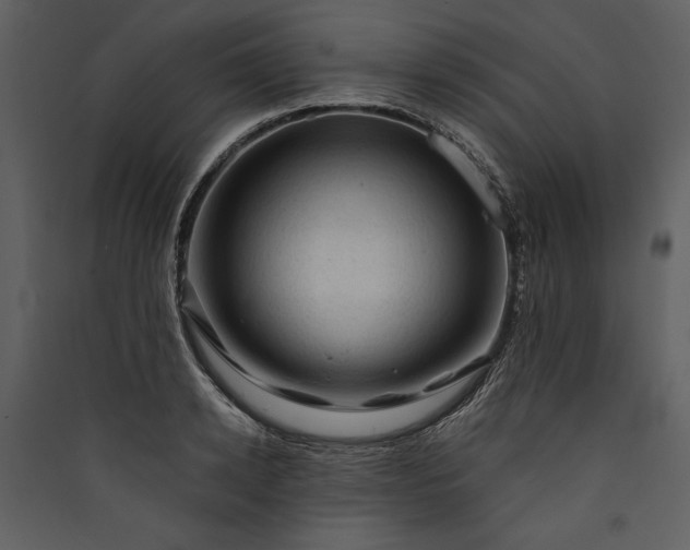 X0000089920942200707131407