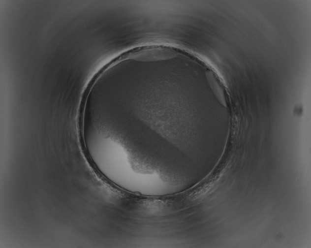 X0000089920943200707131407