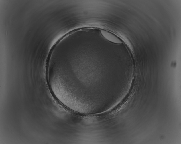 X0000089920944200707131407