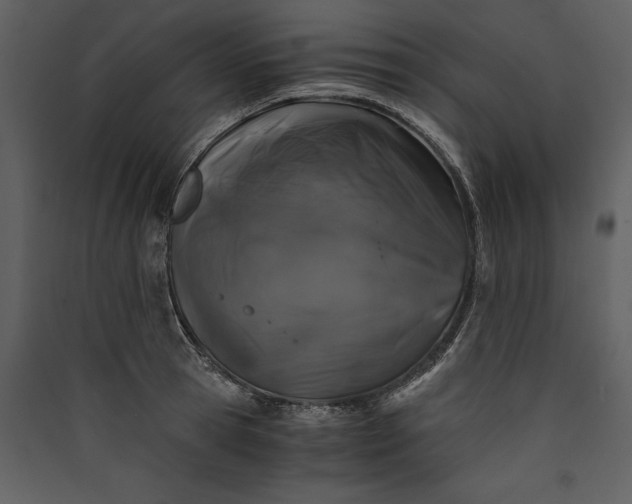 X0000089920945200707131407