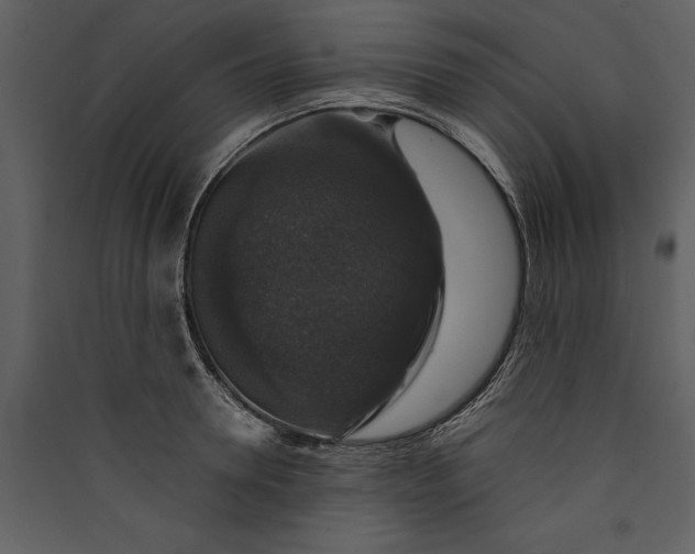 X0000089920946200707131407