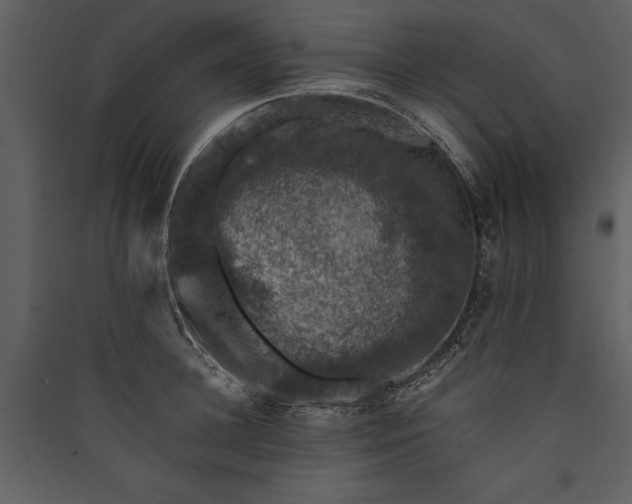 X0000089920948200707131407