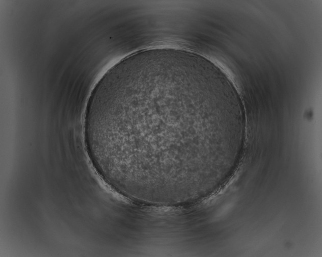 X0000089920949200707131407
