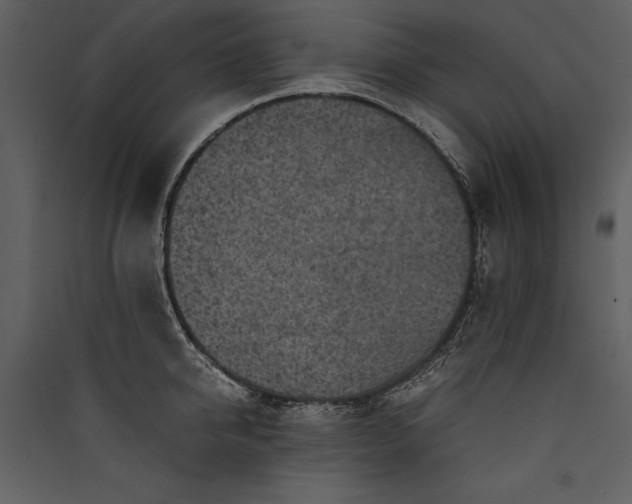 X0000089920950200707131407