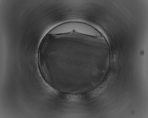 X0000089920951200707131407