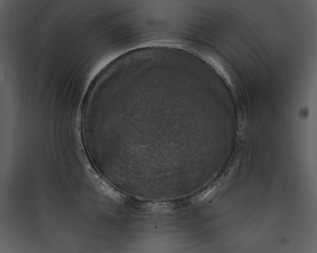 X0000089920952200707131407